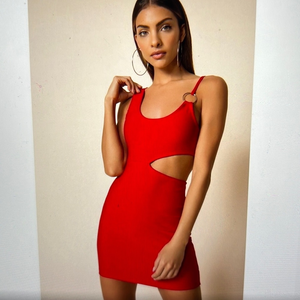 NWT SuperDown Keely Dress